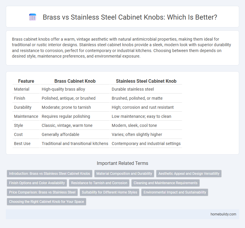 Brass vs Stainless Steel Cabinet Knobs: Which Is Better?