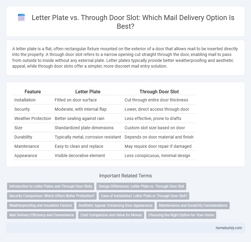 Letter Plate vs. Through Door Slot: Which Mail Delivery Option Is Best?