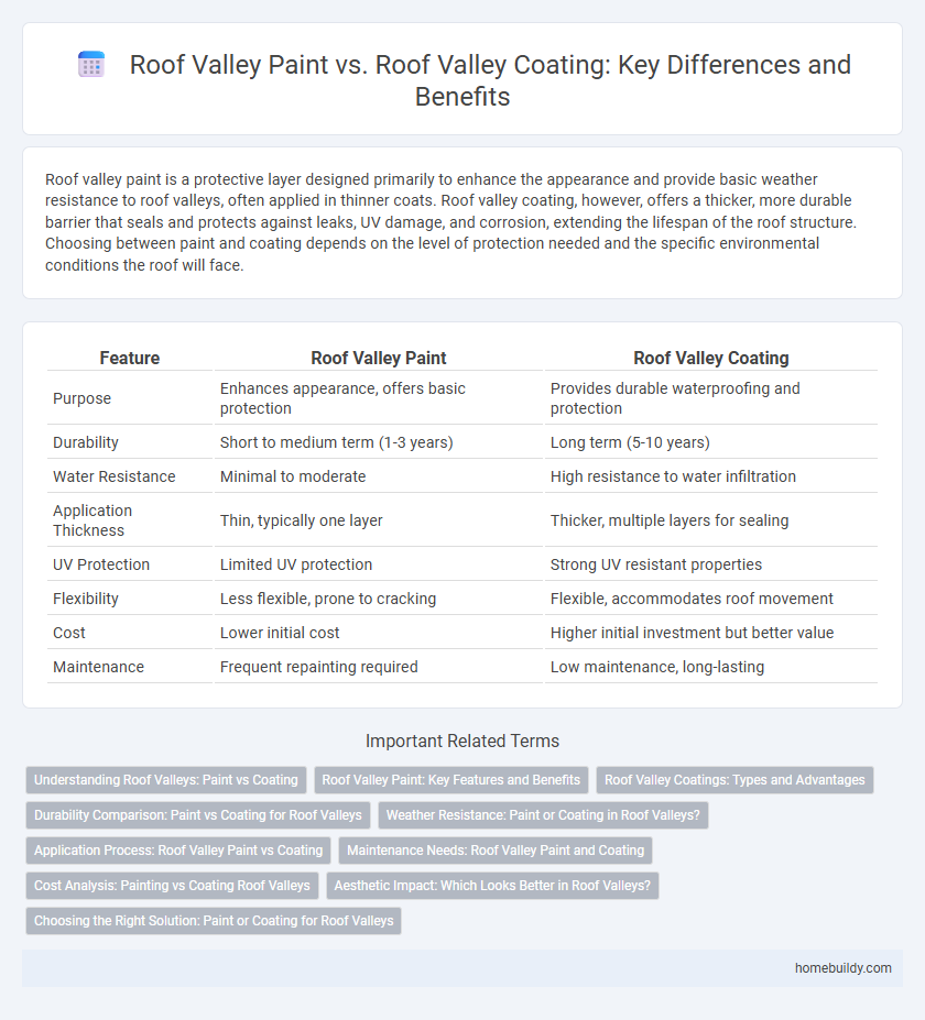 Roof Valley Paint vs. Roof Valley Coating: Key Differences and Benefits