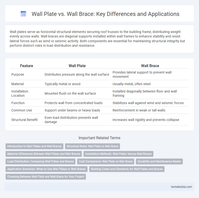 Wall Plate vs. Wall Brace: Key Differences and Applications