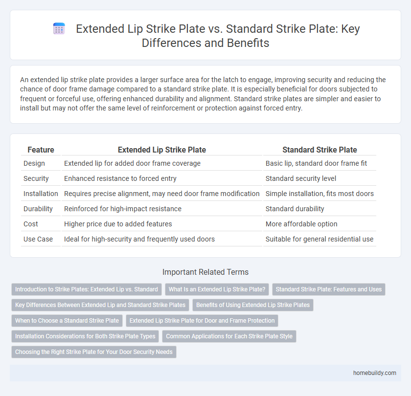 Extended Lip Strike Plate vs. Standard Strike Plate: Key Differences and Benefits