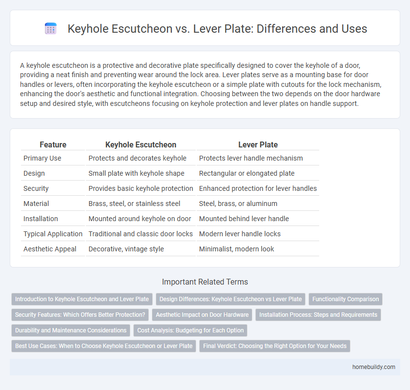 Keyhole Escutcheon vs. Lever Plate: Differences and Uses