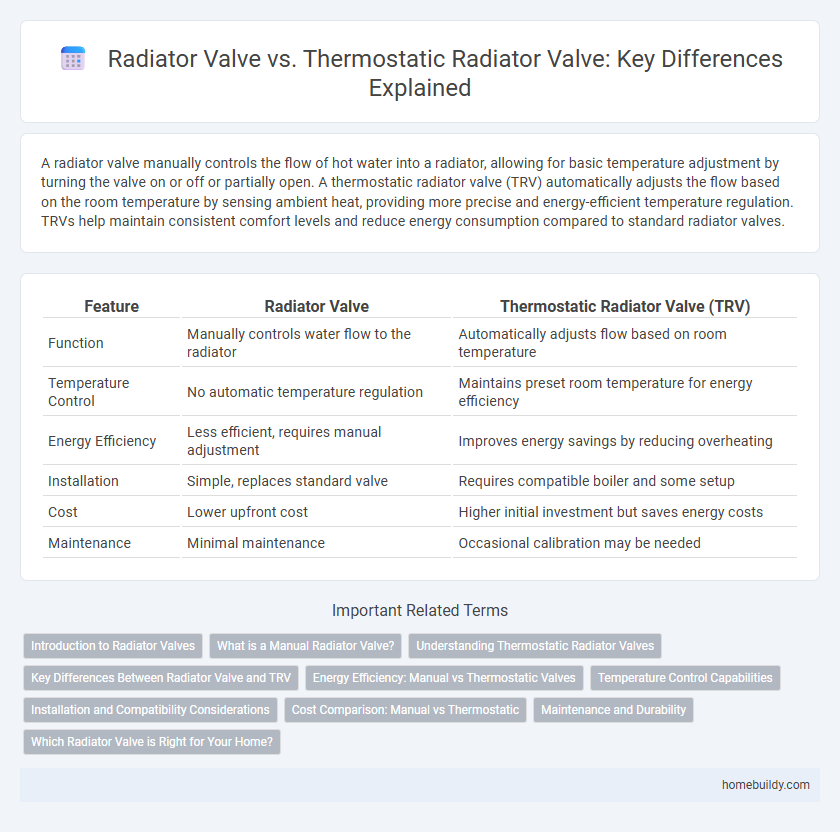 Radiator Valve vs. Thermostatic Radiator Valve: Key Differences Explained