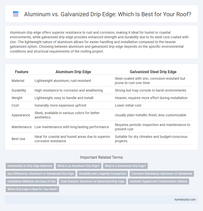 Aluminum vs. Galvanized Drip Edge: Which Is Best for Your Roof?