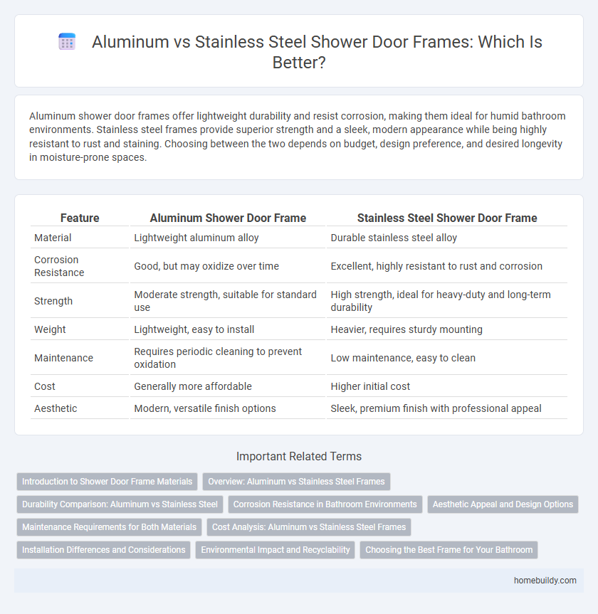 Aluminum vs Stainless Steel Shower Door Frames: Which Is Better?