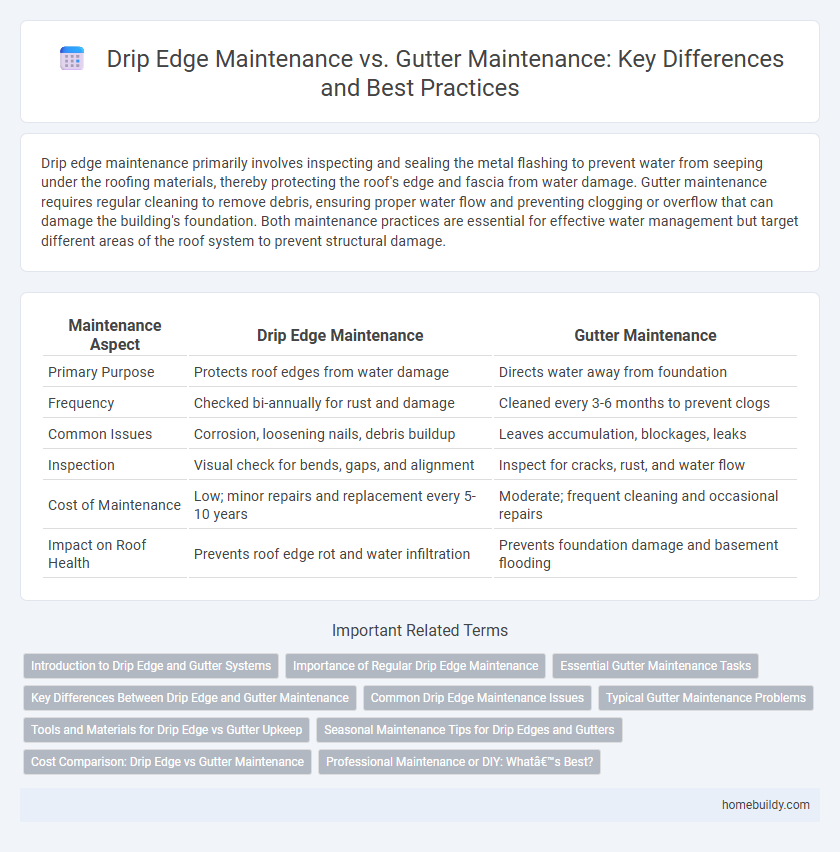 Drip Edge Maintenance vs. Gutter Maintenance: Key Differences and Best Practices