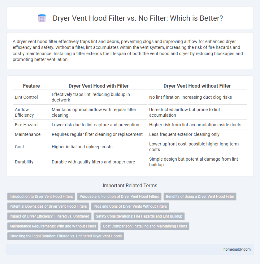 Dryer Vent Hood Filter vs. No Filter: Which is Better?
