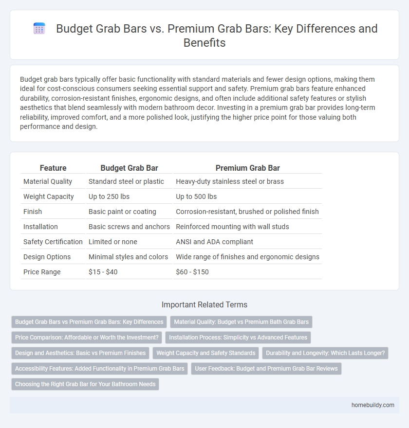 Budget Grab Bars vs. Premium Grab Bars: Key Differences and Benefits