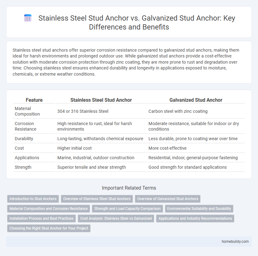 Stainless Steel Stud Anchor vs. Galvanized Stud Anchor: Key Differences and Benefits