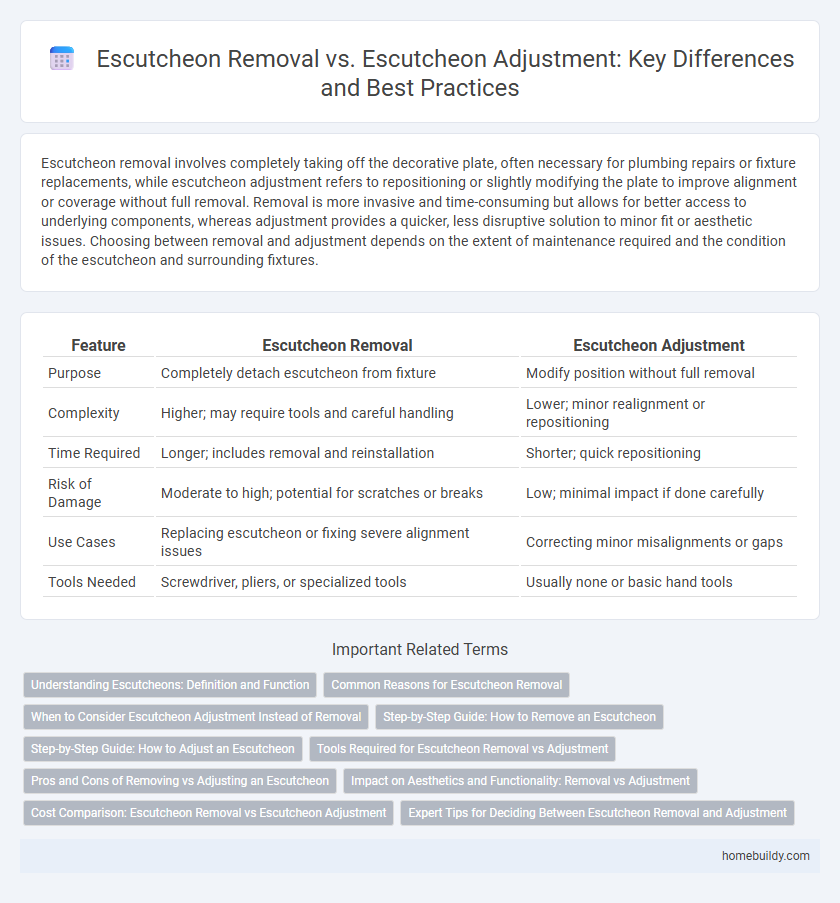 Escutcheon Removal vs. Escutcheon Adjustment: Key Differences and Best Practices