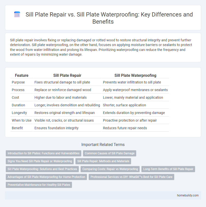 Sill Plate Repair vs. Sill Plate Waterproofing: Key Differences and Benefits