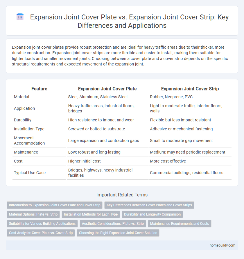 Expansion Joint Cover Plate vs. Expansion Joint Cover Strip: Key Differences and Applications