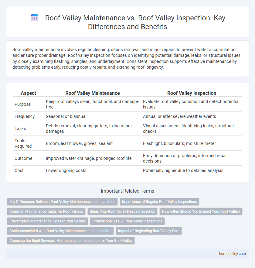 Roof Valley Maintenance vs. Roof Valley Inspection: Key Differences and Benefits