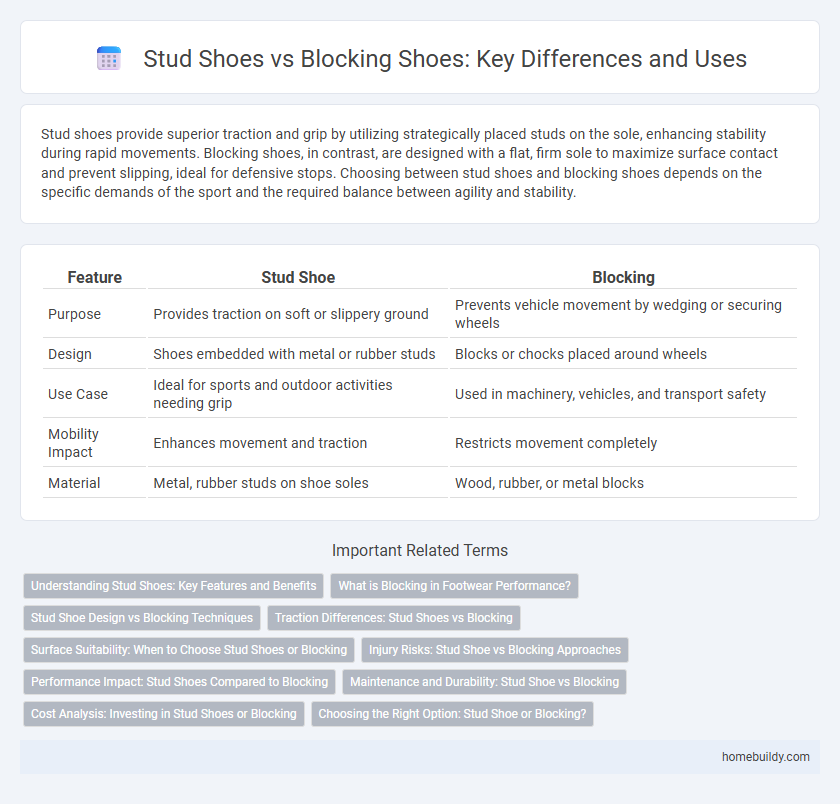 Stud Shoes vs Blocking Shoes: Key Differences and Uses